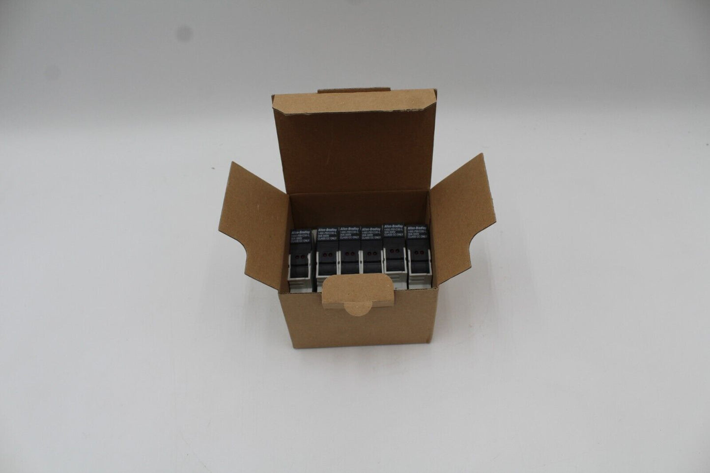 Allen-Bradley 1492-FB1C30-L Fuse Holder (1 PC)