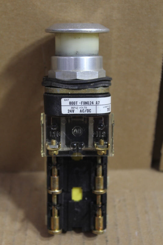 Allen Bradley 800T-FXNQ24A7 White Push Button