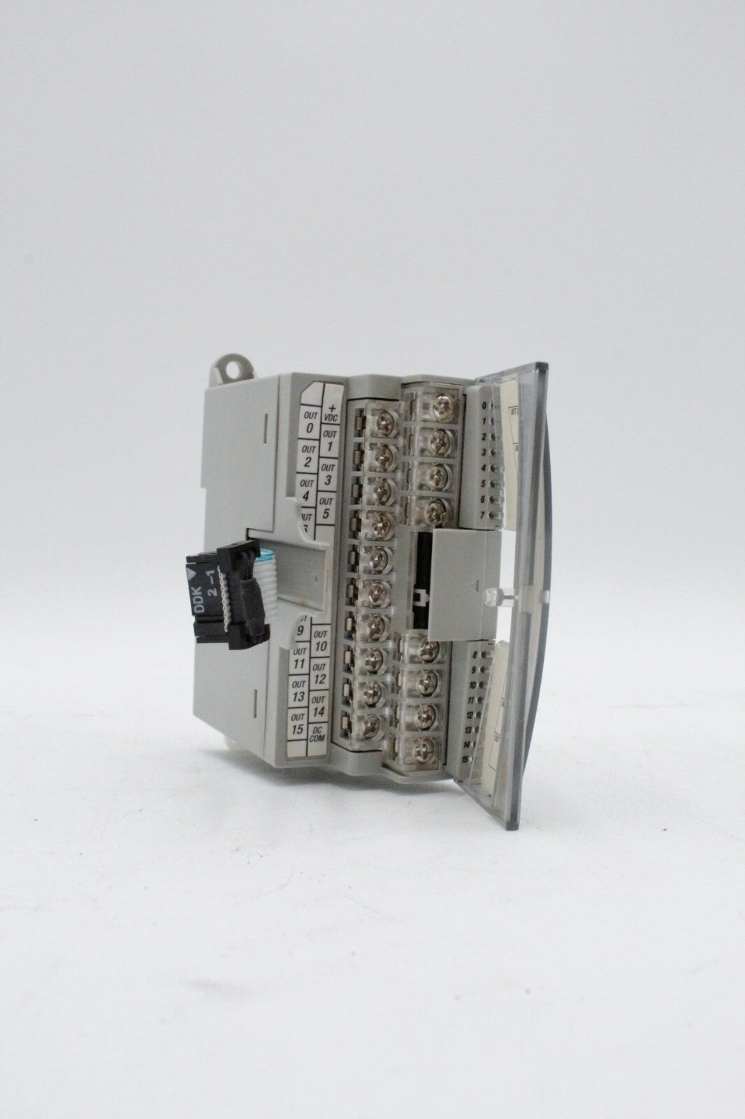 Allen-Bradley 1762-OB16 MicroLogix 16 Pt. 24 VDC Source Output Module