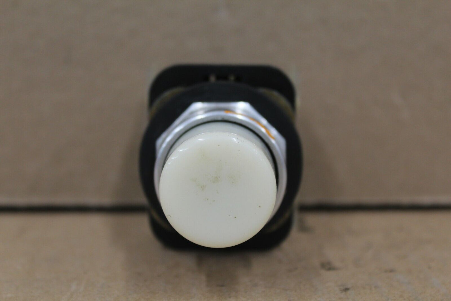 Allen Bradley 800T-QBH24WD1 White Push Button