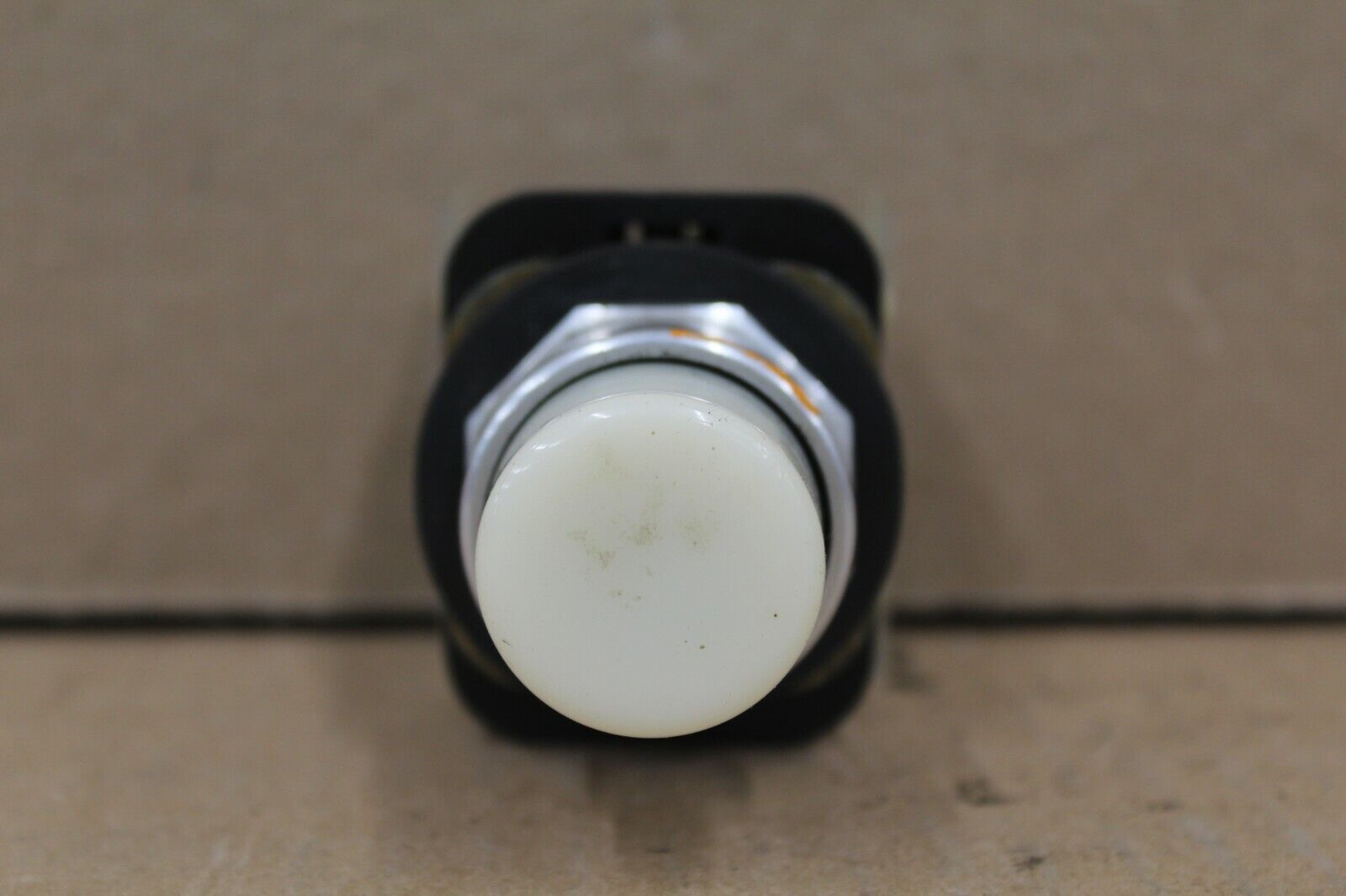 Allen Bradley 800T-QBH24WD1 White Push Button