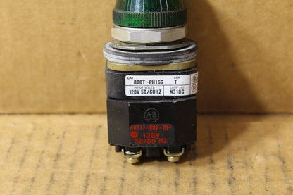 Allen-Bradley 800T-PH16G Green Pilot Light