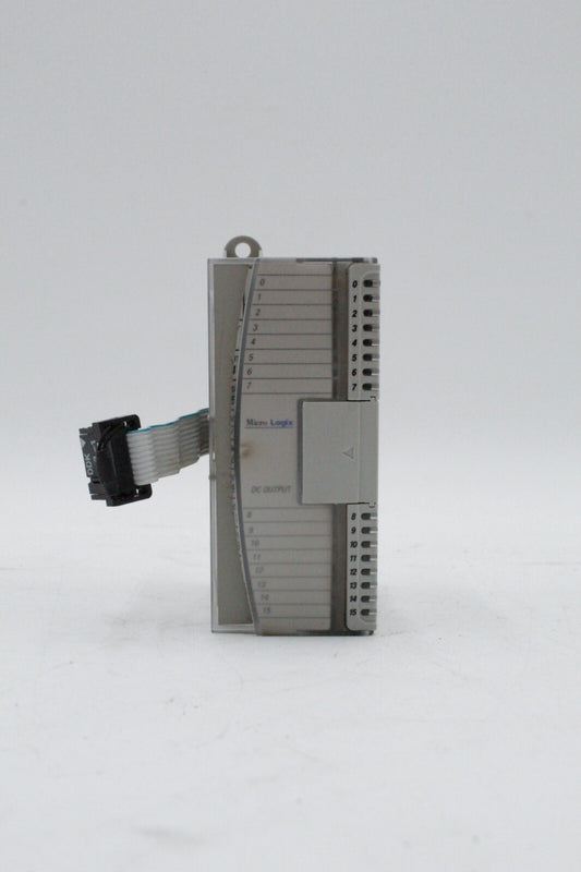 Allen-Bradley 1762-OB16 MicroLogix 16 Pt. 24 VDC Source Output Module