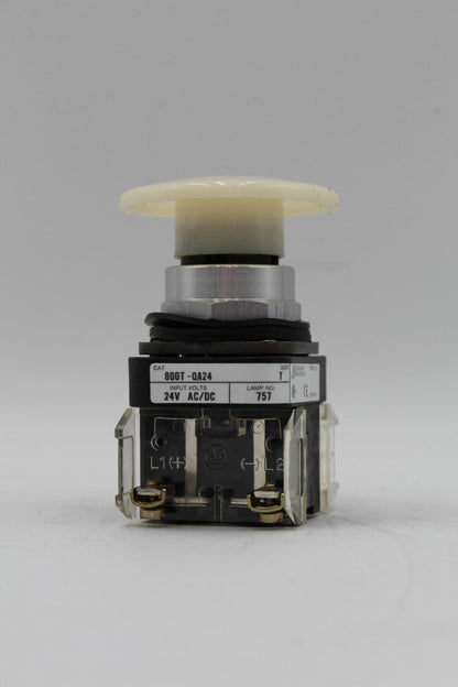Allen-Bradley 800T-QA24 White Push Button