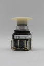 Allen-Bradley 800T-QA24 White Push Button