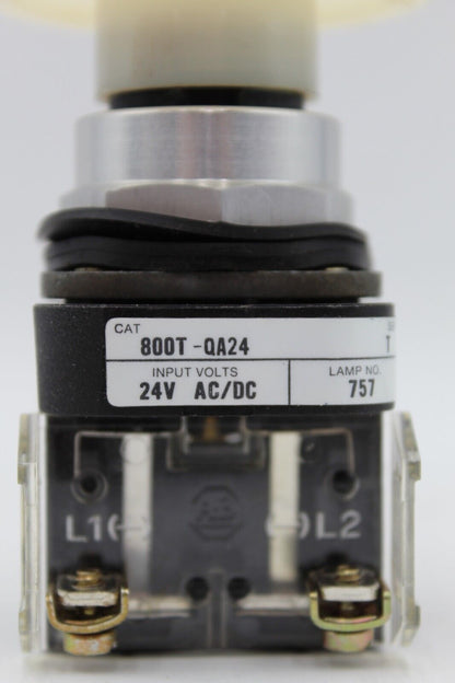Allen-Bradley 800T-QA24 White Push Button
