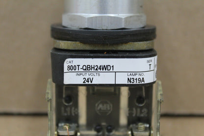 Allen Bradley 800T-QBH24WD1 White Push Button